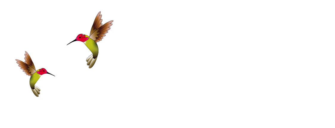 Mosaic full logo 26 Landscape+white